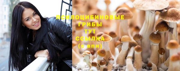 дживик Абаза