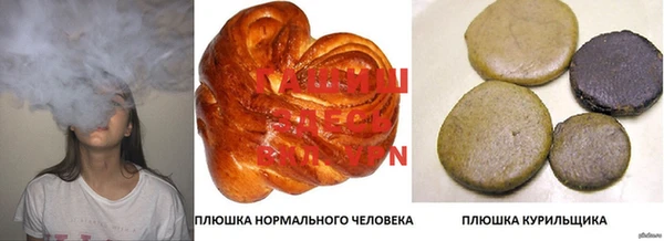 дживик Абаза