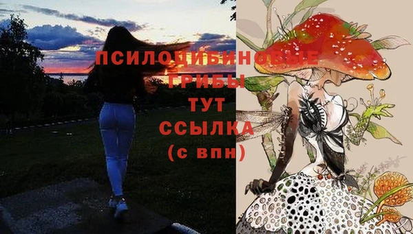 дмт Абинск