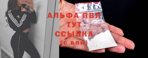 дживик Абаза
