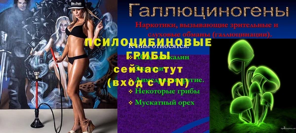 дмт Абинск