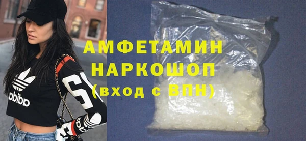 хмурый Алексин